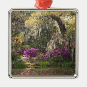 USA, South Carolina, Charleston. Cypress Trees 2 Ornament Aus Metall