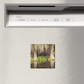 USA, South Carolina, Charleston. Cypress Trees Magnet (In Situ (Geschirrspüler))