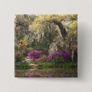 USA, South Carolina, Charleston. Zypressen 2 Button