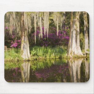USA, South Carolina, Charleston. Zypressen Mousepad