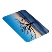 USA, South Carolina, Edisto Island, Botany Bay Magnet (Rechte Seite)