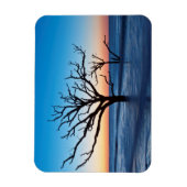 USA, South Carolina, Edisto Island, Botany Bay Magnet (Vertikal)