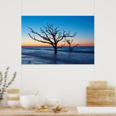 USA, South Carolina, Edisto Island, Botany Bay Poster (Küche)