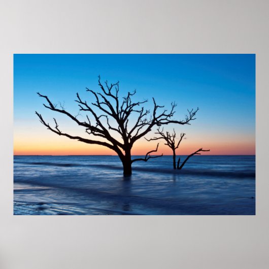 USA, South Carolina, Edisto Island, Botany Bay Poster (Vorne)