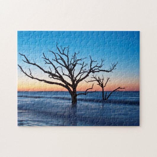 USA, South Carolina, Edisto Island, Botany Bay Puzzle (Horizontal)