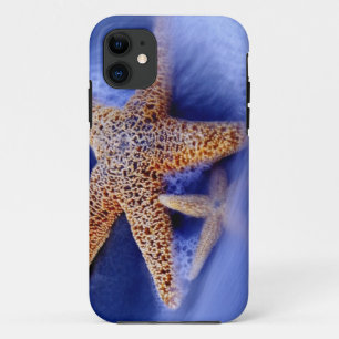 USA, South Carolina, Hilton Head Island. Zwei Case-Mate iPhone Hülle