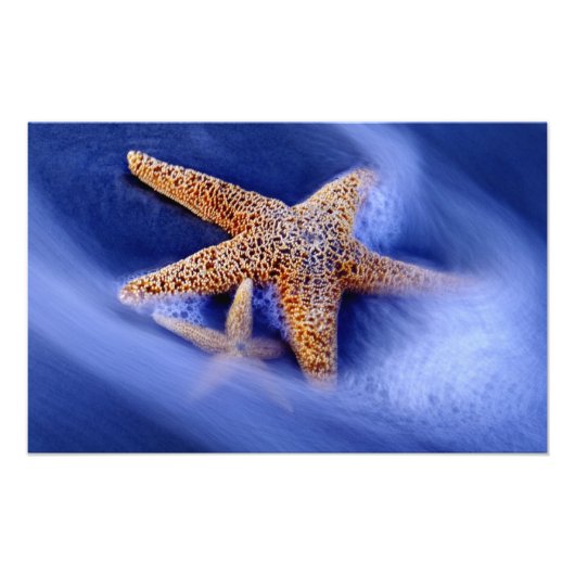 USA, South Carolina, Hilton Head Island. Zwei Fotodruck (Vorne)