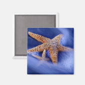 USA, South Carolina, Hilton Head Island. Zwei Magnet (Vorderseite/Rückseite)