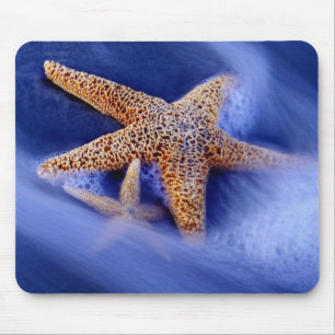 USA, South Carolina, Hilton Head Island. Zwei Mousepad