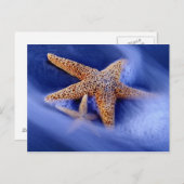 USA, South Carolina, Hilton Head Island. Zwei Postkarte (Vorne/Hinten)