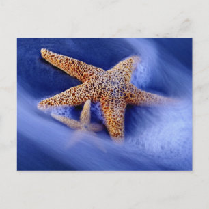 USA, South Carolina, Hilton Head Island. Zwei Postkarte