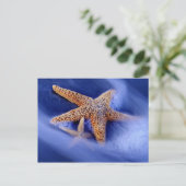 USA, South Carolina, Hilton Head Island. Zwei Postkarte (Stehend Vorderseite)