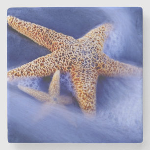 USA, South Carolina, Hilton Head Island. Zwei Steinuntersetzer