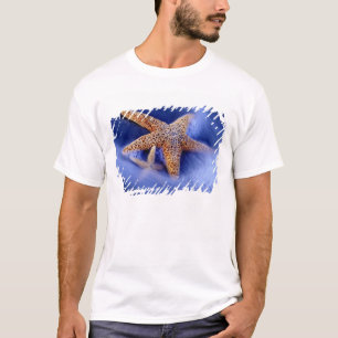 USA, South Carolina, Hilton Head Island. Zwei T-Shirt