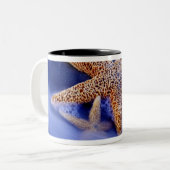USA, South Carolina, Hilton Head Island.Zwei Zweifarbige Tasse (Vorderseite Links)