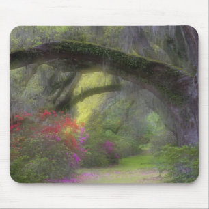 USA, South Carolina, Magnolia Gardens. Mousepad