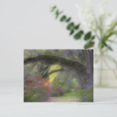 USA, South Carolina, Magnolia Gardens. Postkarte (Stehend Vorderseite)