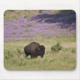USA, South Dakota, amerikanischer Bison Mousepad