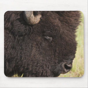 USA, South Dakota, amerikanischer Bison Mousepad