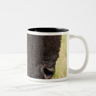 USA, South Dakota, amerikanischer Bison Zweifarbige Tasse