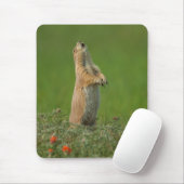 USA, South Dakota, Custer Staat Park Mousepad (Mit Mouse)