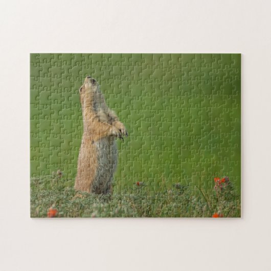 USA, South Dakota, Custer Staat Park Puzzle (Horizontal)