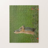 USA, South Dakota, Custer Staat Park Puzzle (Vertikal)