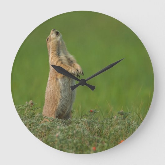 USA, South Dakota, Custer State Park Große Wanduhr (Vorderseite)