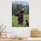 USA, Southeast Alaska, Brown Bear and cub Poster (Küche)