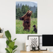 USA, Southeast Alaska, Brown Bear and cub Poster (Heimbüro)