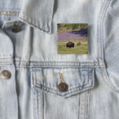 USA, Süddakota, amerikanisches Bison (Bison bison) Button (Beispiel)