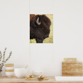 USA, Süddakota, amerikanisches Bison (Bison bison) Poster (Küche)