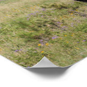 USA, Süddakota, amerikanisches Bison (Bison bison) Poster (Ecke)