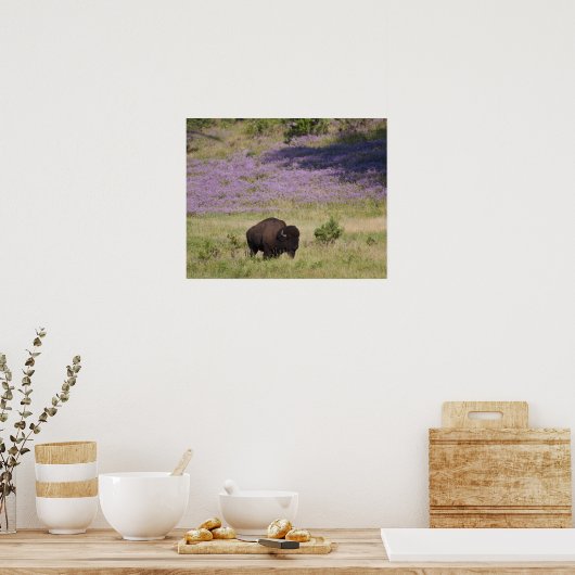 USA, Süddakota, amerikanisches Bison (Bison bison) Poster (Küche)