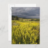 USA, Süddakota, Blume und Sturm Postkarte (Vorne/Hinten)
