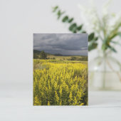USA, Süddakota, Blume und Sturm Postkarte (Stehend Vorderseite)