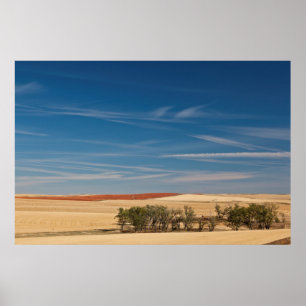 USA, Süddakota, Murdo, Prairie Landscape Poster
