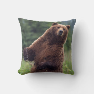 USA, Südost-Alaska, Braunbär und Jungtier Kissen