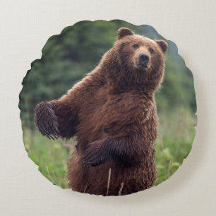 USA, Südost-Alaska, Braunbär und Jungtier Rundes Kissen