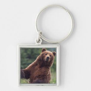 USA, Südost-Alaska, Braunbär und Jungtier Schlüsselanhänger