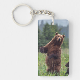 USA, Südost-Alaska, Braunbär und Jungtier Schlüsselanhänger