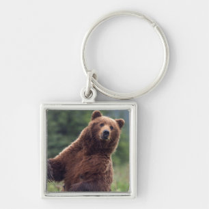 USA, Südost-Alaska, Braunbär und Jungtier Schlüsselanhänger