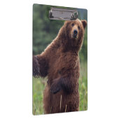 USA, Südost-Alaska, Brown Bear and cub Klemmbrett (Rechts)