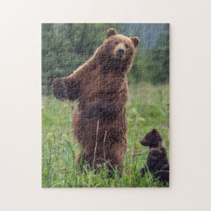 USA, Südost-Alaska, Brown Bear and cub Puzzle