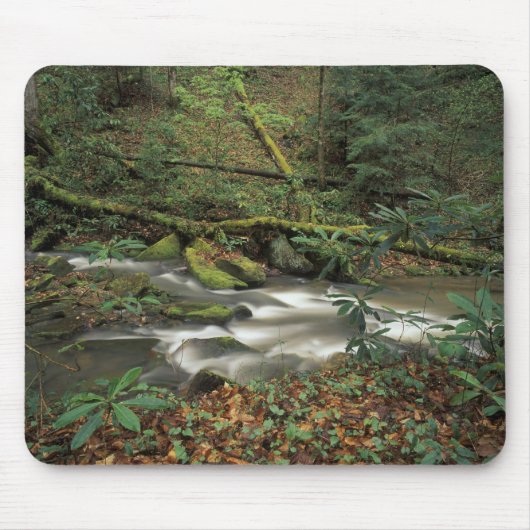 USA, Tennessee. Big South Gabelinsel Mousepad (Vorne)