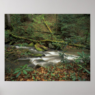 USA, Tennessee. Big South Gabelinsel Poster