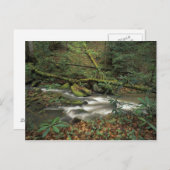 USA, Tennessee. Big South Gabelinsel Postkarte (Vorne/Hinten)