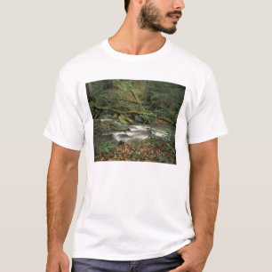 USA, Tennessee. Big South Gabelinsel T-Shirt