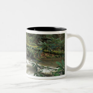 USA, Tennessee. Big South Gabelinsel Zweifarbige Tasse