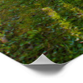 USA, Tennessee, Cabin in Cades Cove Poster (Ecke)